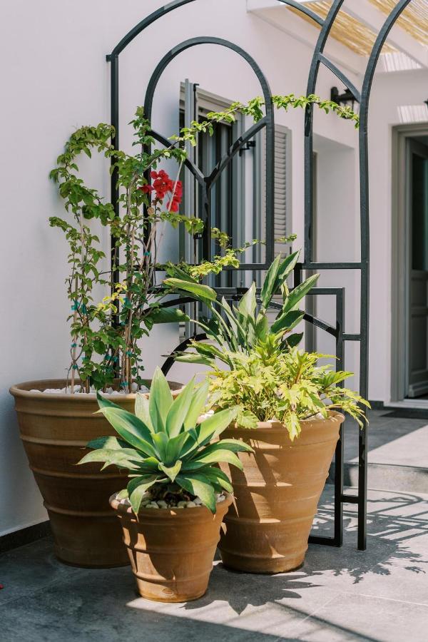Appartement Eurus & Zephyrus Rhodes City